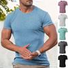 Men's Ribbed Knit Short,sleeve Casual ,color Basic Top