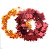 Maple Striking Seasonal Leaf Decoration For Thanksgiving Cozy Home Styling 75m