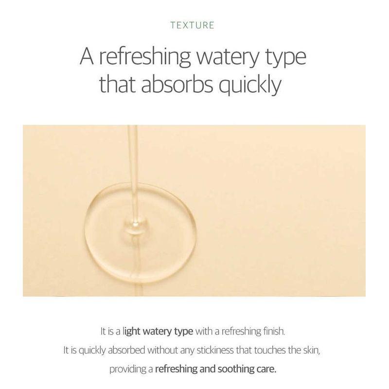 ROUND LAB - Mugwort Calming Serum