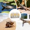 Gecko Feeding Ledge Resin Removable Feeder Reptile Water Bowls Feeder Ledge For Pets Crabs Turtle Spider Bearded Dragon Frogs