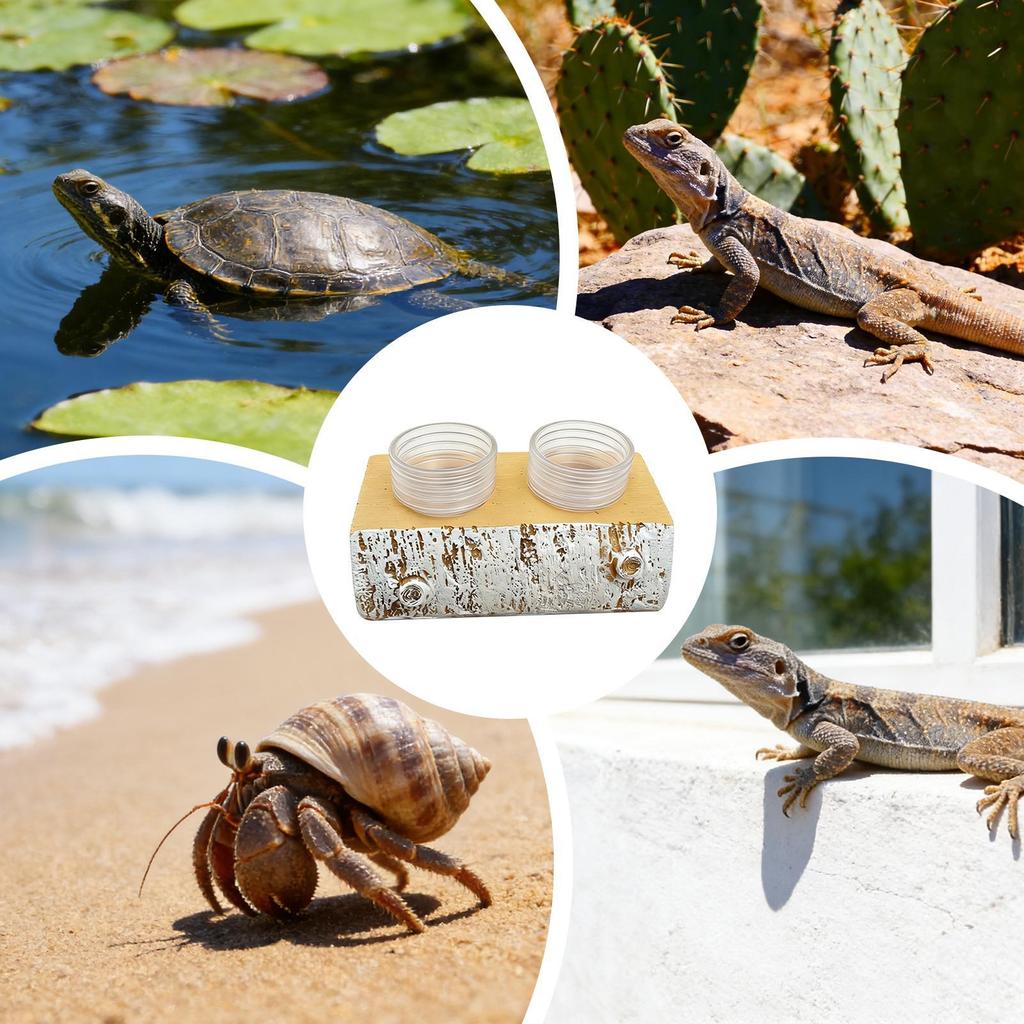 Gecko Feeding Ledge Resin Removable Feeder Reptile Water Bowls Feeder Ledge For Pets Crabs Turtle Spider Bearded Dragon Frogs