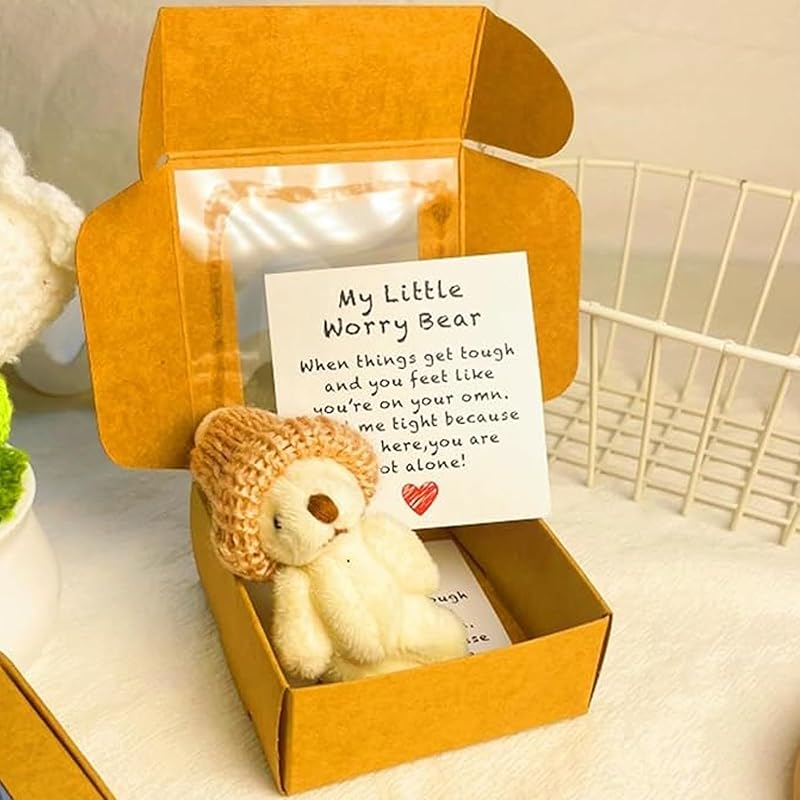 Handmade Mini Plush Teddy Bear in Box, Little Bear in A Box, My Little Worry Bears, Mini Pocket Bears Hug Plush with Emotional Uplifting Support
