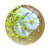Oil Coconut Slow Toy Coconut Oil Pressure Toy Anxiety And Stress Soft And Reusable Squeezing Toy Funny Relaxing Games For Kids