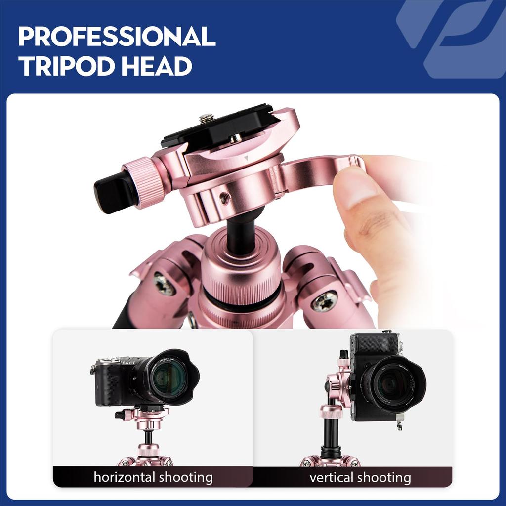 Fotopro 152cm Mini Lightweight and Travel Tripod with Ball Head and Phone Detachable Selfie Camera Maximum Load Cherry Blossom Tripod, Compact,