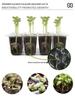 High Lid Seedling Box with Controller Accessories for Home Gardening