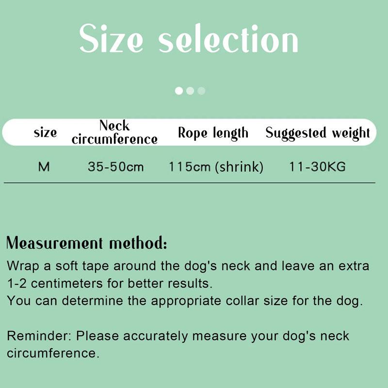 Dog Collar Leash Set,adjustable Training Nylon Zinc Alloy Buckle Thicken Soft Lining Collar For Medium Big Dogs