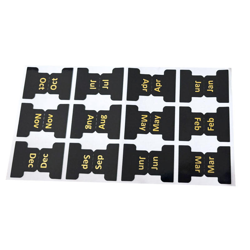 10PCS Colorful Index Label Sticker Bookmark Stickers Easy Read Book Tabs Large Print Laminated Bible Tab For Study Reading