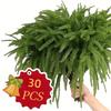 30pcs Real Touch Artificial Norfolk Pine Branches -35cm Long Fake Evergreen Stems for Indoor/Outdoor Decor, Realistic Decoration