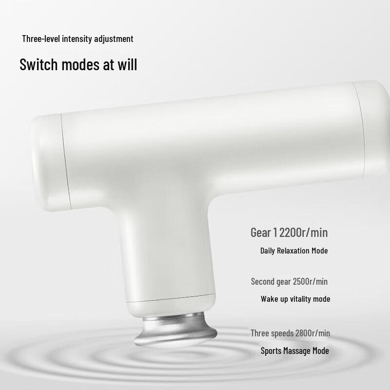 ROTAI G10 Mini Fascia Gun