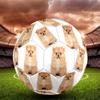 Cute Puppy Indoor Size 5 Soccer Ball Colorful Machine Stitched PVC Competition Ready Durable High-Bounce