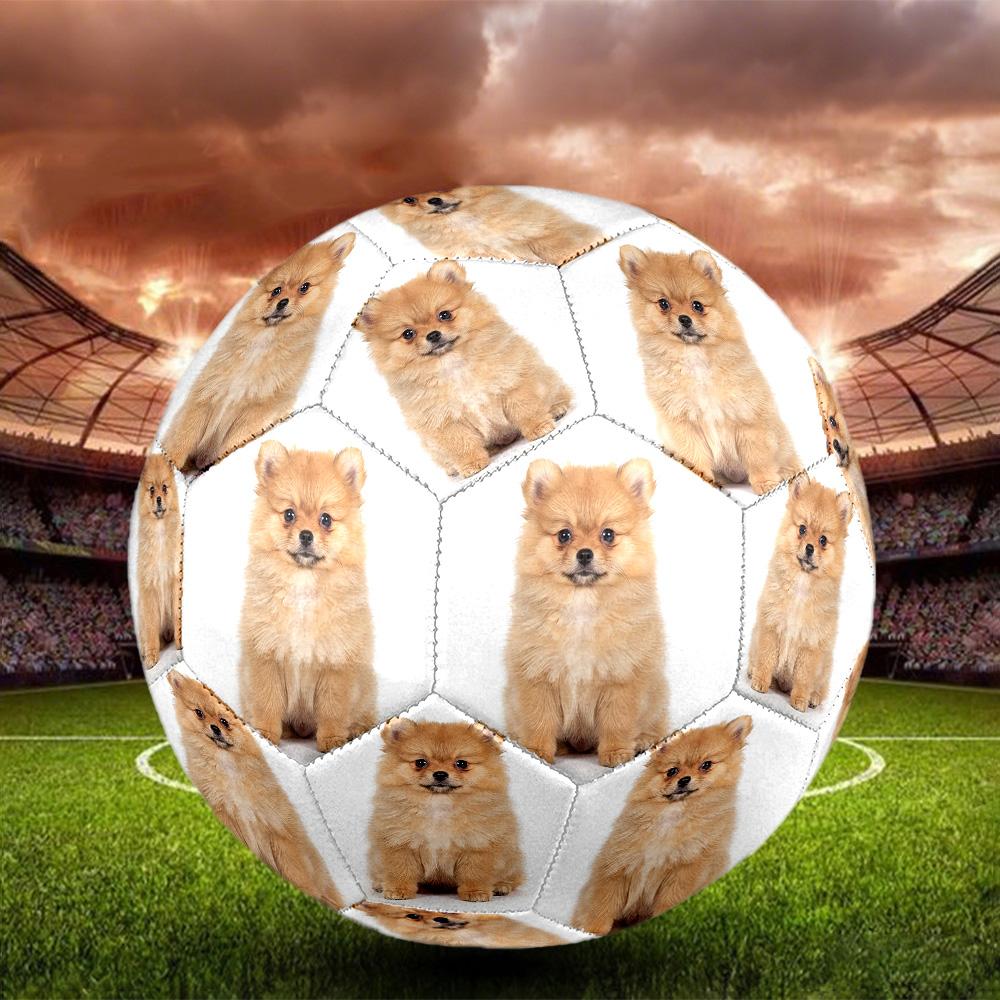 Cute Puppy Indoor Size 5 Soccer Ball Colorful Machine Stitched PVC Competition Ready Durable High-Bounce