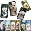 Phone Cover Bichon Frise Dog Pet Casing for Xiaomi Redmi Note 14 12 13 ProPlus A4 A3 Pro Plus 12C 13C 14C 5G + Case
