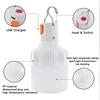 Outdoor USB Rechargeable LED Lamp Bulbs 30W/60W/100W Emergency Light Hook Up Camping Fishing Portable Lantern Night Lights