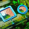 Food Tray Feeder With Suction Cup Food Feeding Ring Floating Station Buoyancy Circle Fish Feeder