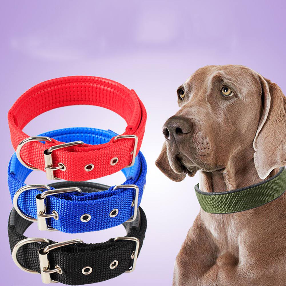 nylon adjustable dog collars