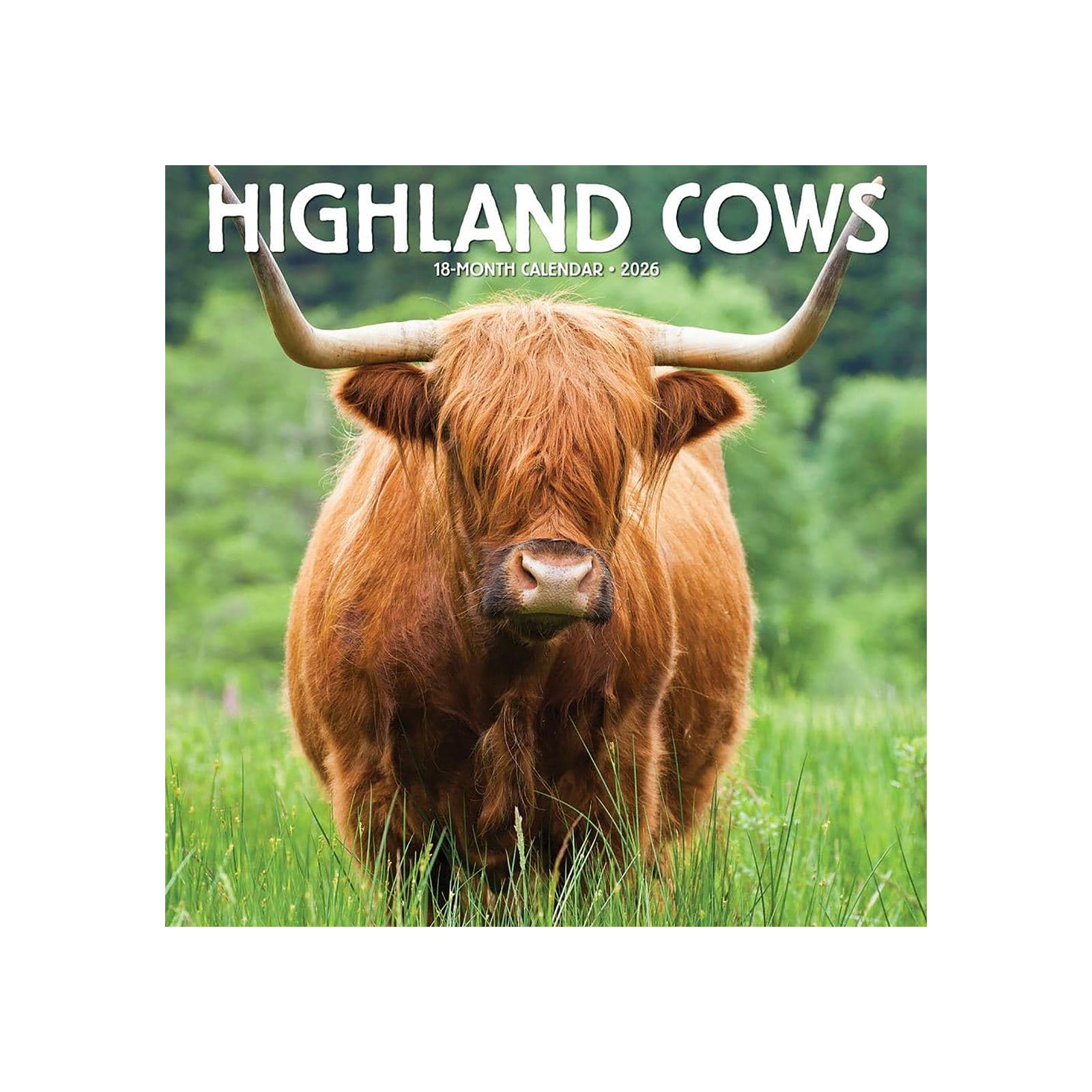 

Cow Wall Calendar, Cattle Calendar, 12 Month Wall Calendars One Size