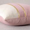 Design Velvet Cushion Cover 45x45cm 30x50 Throw Pillow Cover for Livingroom Decorative Pillowcase Car Seat Luxury Cushion