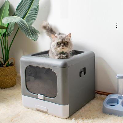 Kedi – Kedi bakım ürünleri
