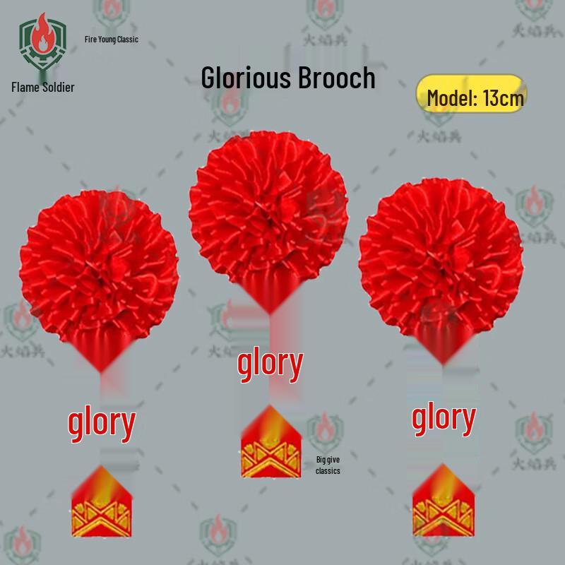 Military Service Commendation Brooches & Sashes 13CM