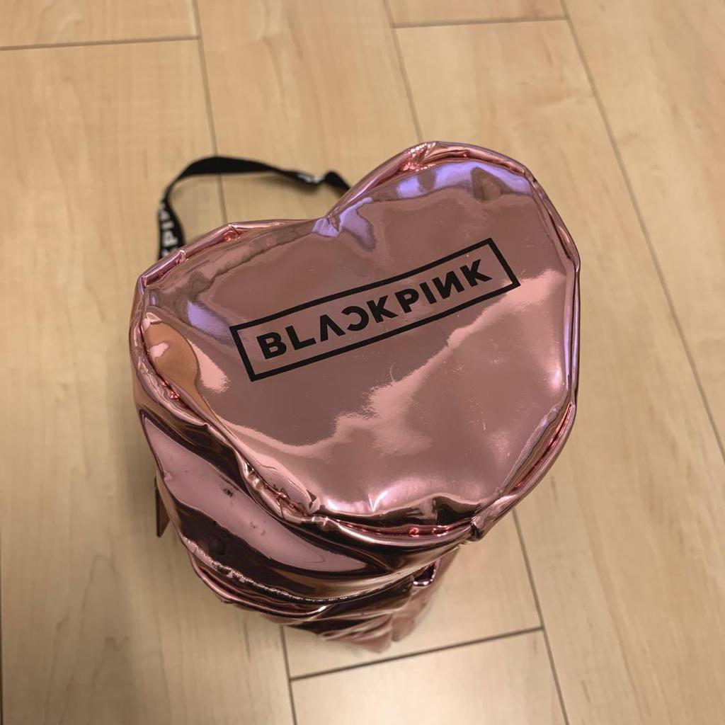 [USED] BLACKPINK penlight case