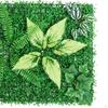 Artificial Green Hedge Wall Faux Backdrop Privacy Fence for Garden