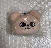 [USED] STRAYKIDS Skzoo Mini Face Keyring Seungmin