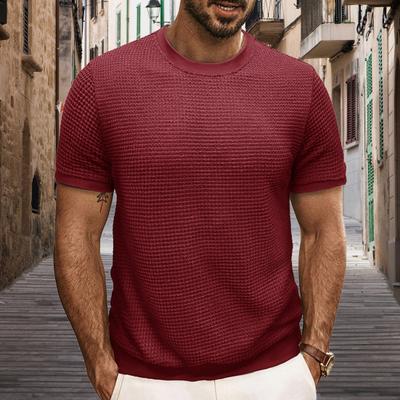 Letní pánské topy Pletené s kulatým výstřihem Krátký rukáv Jednobarevné Žebrované Elastické Tričko Slim Fit Pulovr Ležérní Denní Oblečení