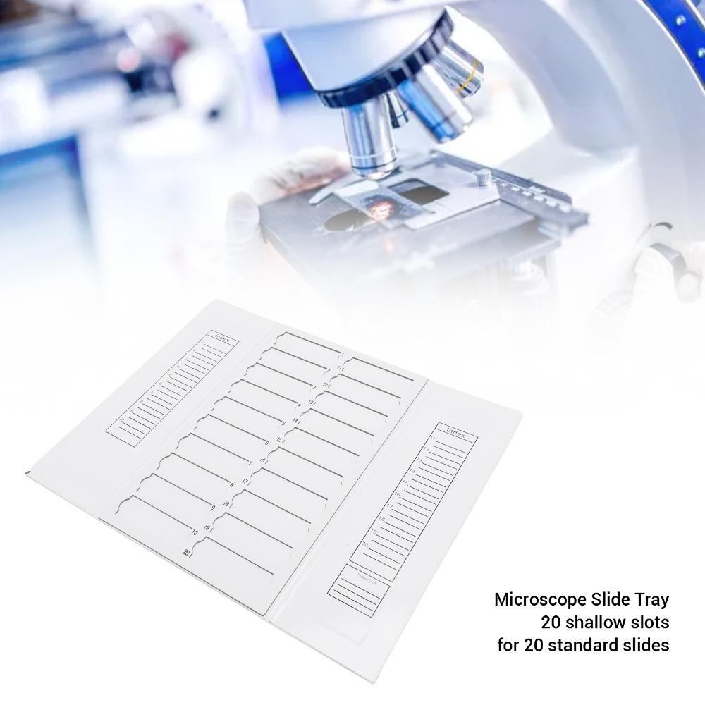 20/30 Places 20/30 Slides Capacity Microscope Slide Box Glass Slide Storage Tray  Specimen Sorting