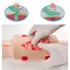 Pvc Trauma Simulated Wound Practice Module For Nurse Training Schools Featuring Hemostasis & First-Aid Practice Manikins