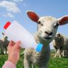 Livestock Nursing Bottles: Small-Scale Milk Bottles for Lambs and Goats