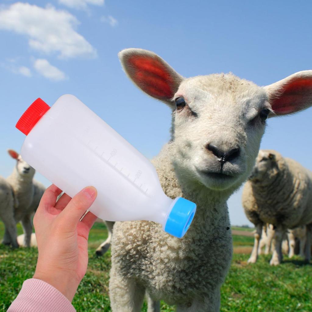 Livestock Nursing Bottles: Small-Scale Milk Bottles for Lambs and Goats
