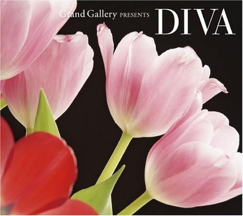 CD OMNIBUS, CHIEKO KINBARA,KAORI TAKED - Grand Gallery presents DIVA  Japan Music Others Used