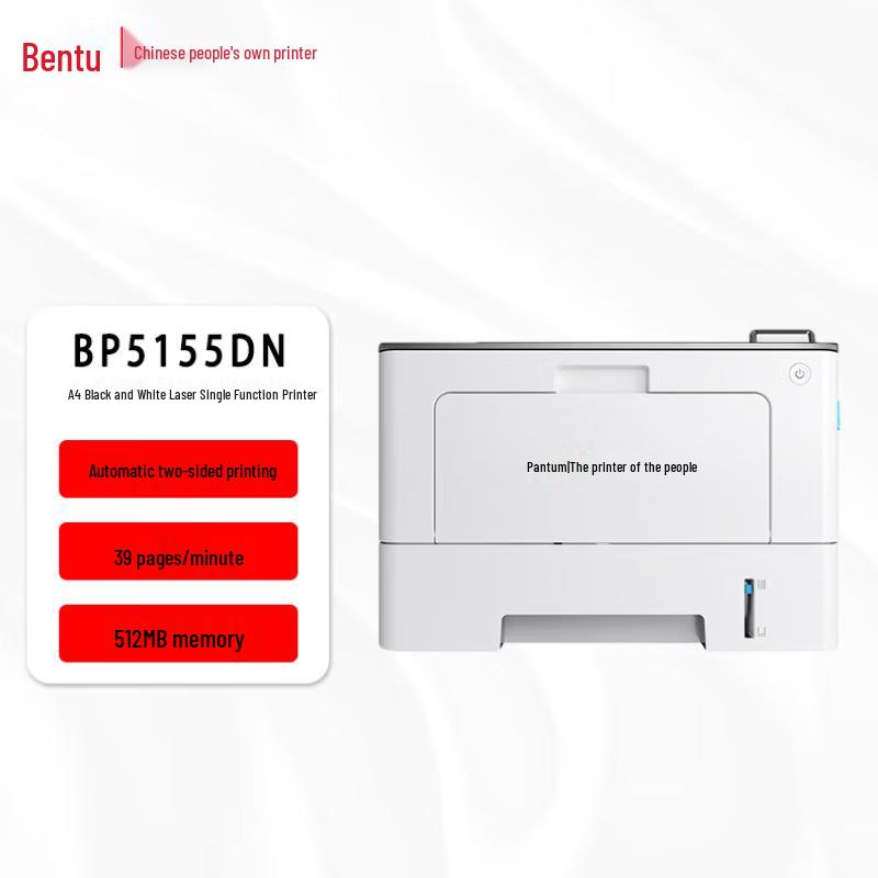 Pantum Professional Laser Printing & Imaging Solutions CN Plug (adapter Included)