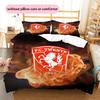 Biancheria da letto con motivo FC Twente Enschede Decorazione per la casa Regalo di compleanno ( 1 copripiumino + 2 federe, senza imbottitura),merchandising per fan.
