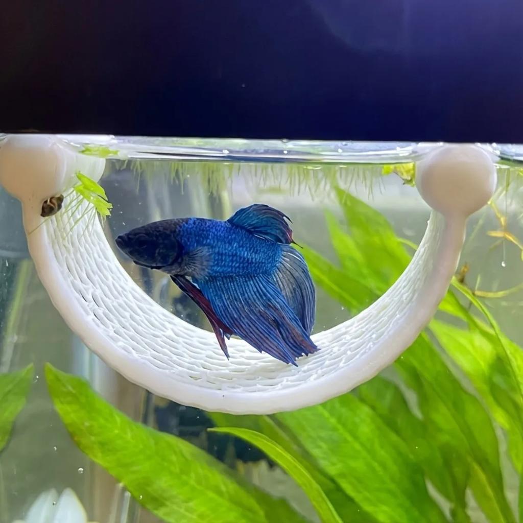 Schwimmende Betta-Hängematte Ruheplatz, Kunststoff-Netzliege, bietet einen Schlafplatz für Bettas und Guppys