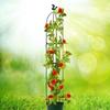 Vine Pillar Gardening Tomato Balcony Planting Rack Support Rod Climbing Vine Rack Flower Pot Holder