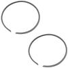Daytona 13666 Piston Ring Set, 1.7 Inches (44 Mm)