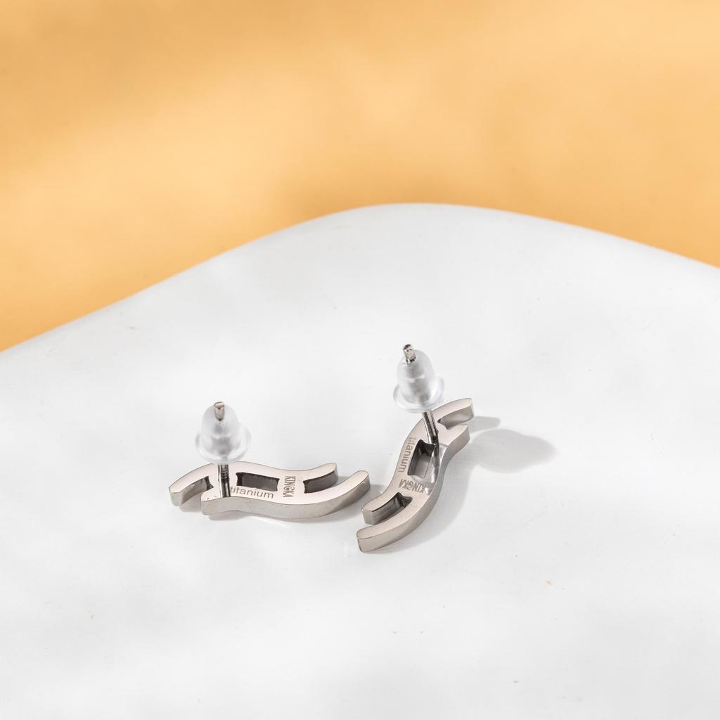 TITANIUM EARRING Titanium Earring with Staineless Steel Butterfly Stopper In Shiny Finished