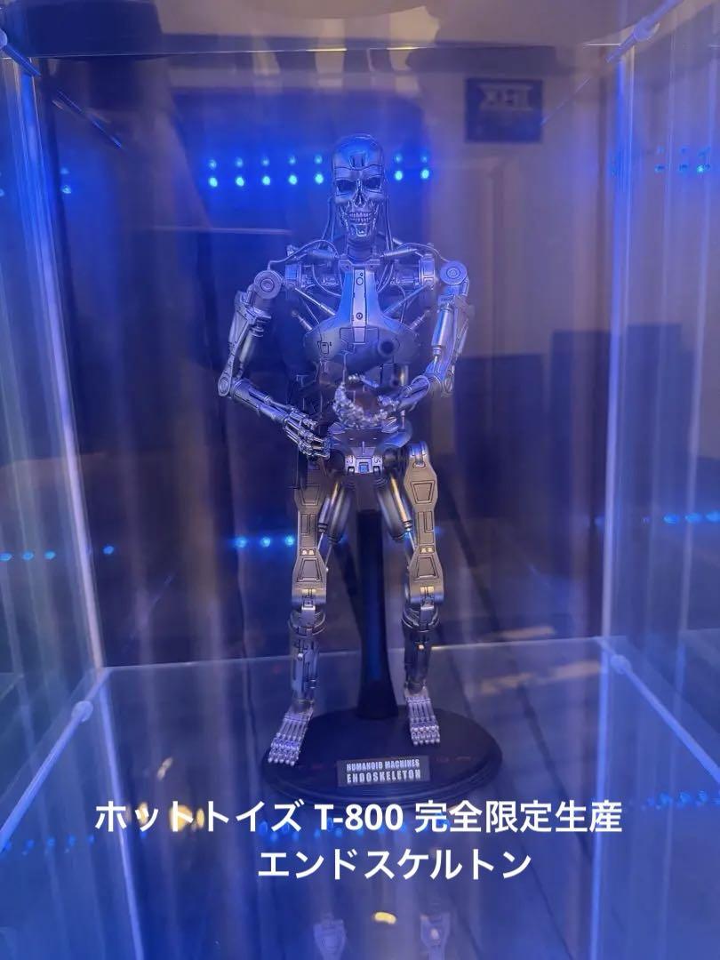 

[USED] Limited Edition Hot Toys Terminator T-800 Endoskeleton