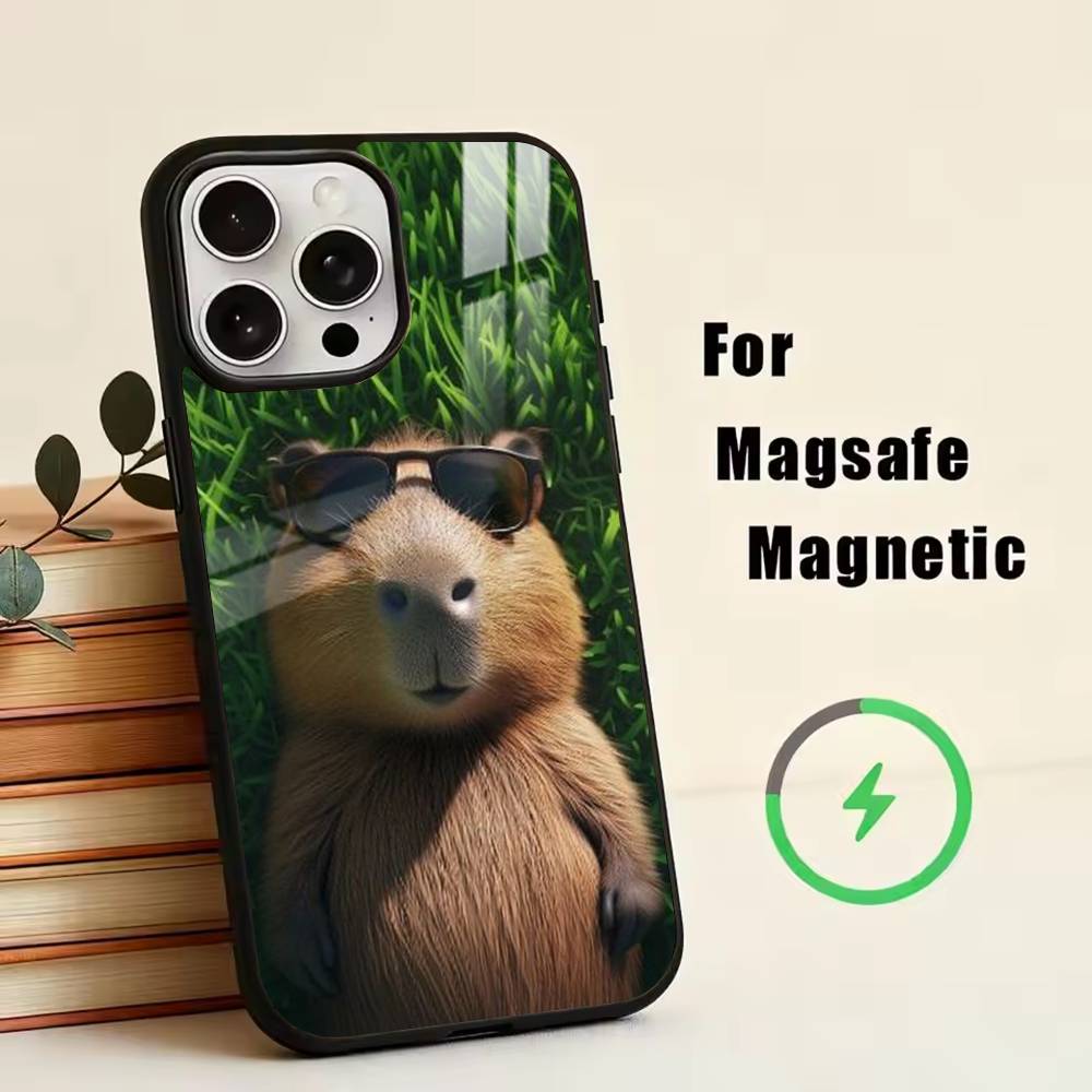 Süßes Capybara Handyhülle Für iPhone17,16,15,14,13,12,11 Plus,Pro Magnetisch mit Magsafe Kabellosem Laden