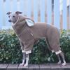 Dog Cotton Coat Greyhound Winter Lamb Wool Thickened Quad Whippet Soft Warm Rabbit Hat Onesie Dog Clothes Leisure Warm Clothes