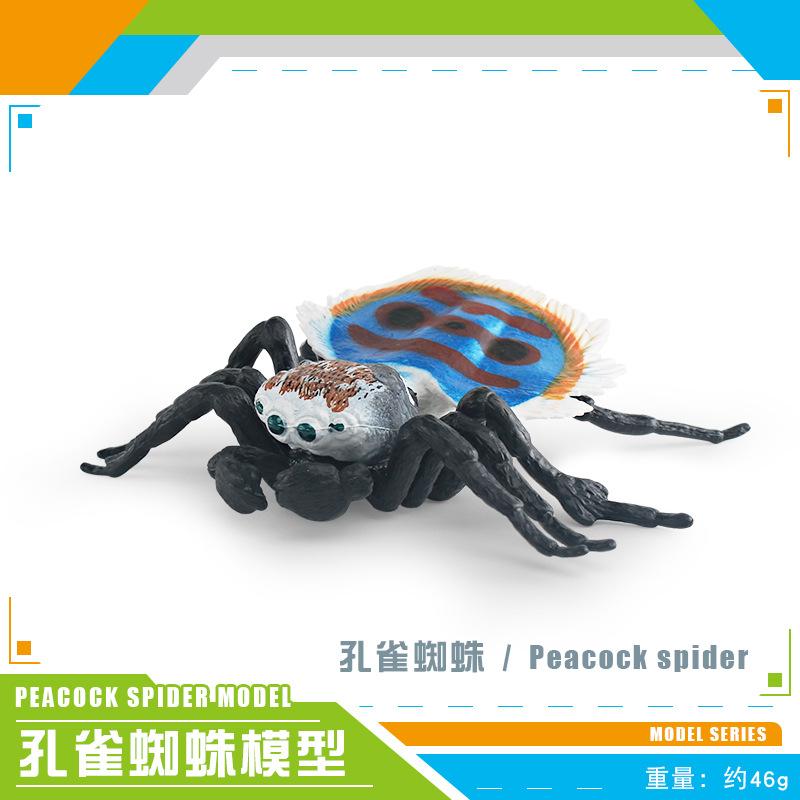 Export Simulation Insect Animal Model Red And Blue Peacock Spider Striped Fly Spider Static Cognitive Ornament Toy