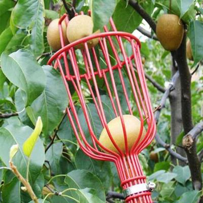 Testa per raccoglitrice di frutta con cesto profondo in alluminio, comoda raccoglitrice di frutta, raccoglitore di mele e pesche, per raccogliere attrezzi da giardino