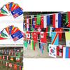 Multi-cultural Party Hanging Decor 50-100pcs Flags Of Different Assorted Countries