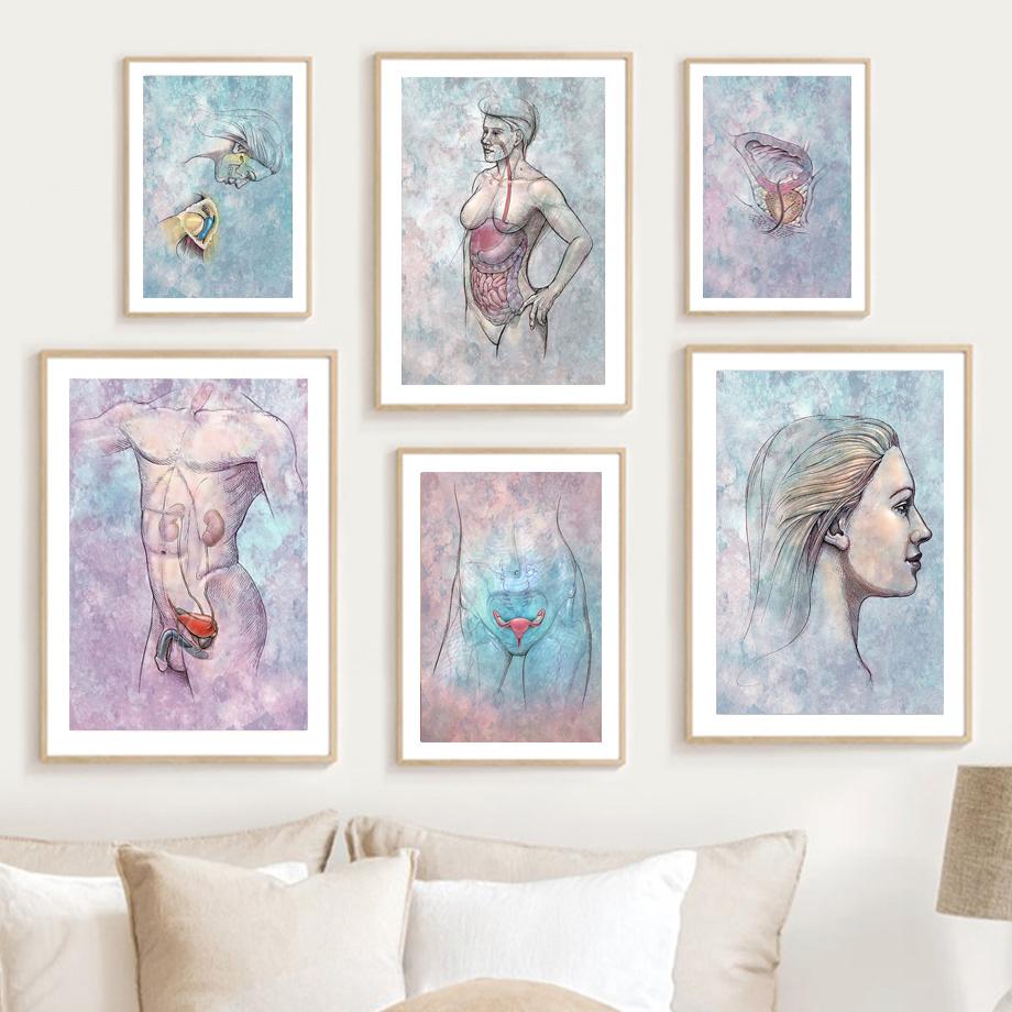 

Абстрактный орган Мужская Женская Генитальная линия Nordic Wall Art Холст Живопись Плакаты и принты Картины Для гостиной Клиника Декор