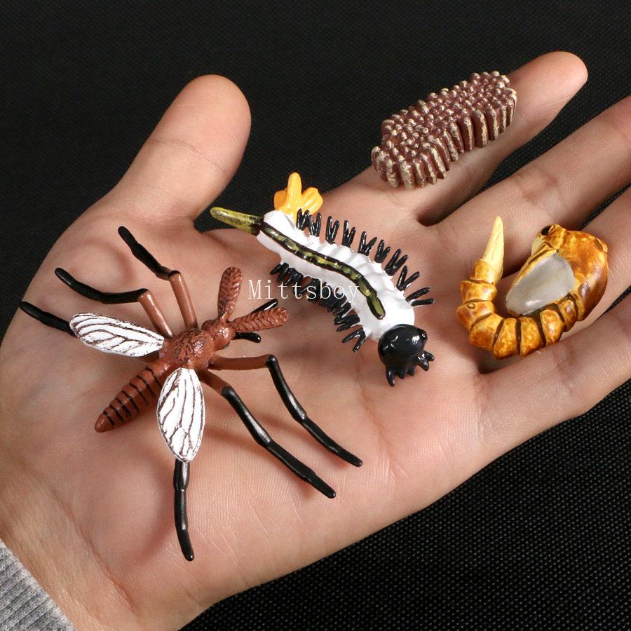 Montessori Wooden Lifelike Insect Animal Life Cycle Board Teaching Plant Animals Growth Cycle Model Set Preschool Cognitive Toy