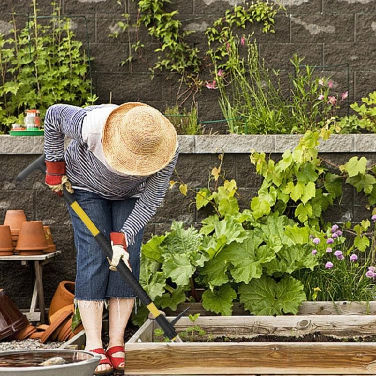 Gardening Weeder With Detachable Stainless Components Standing Operation Reduces Back Strain During Use