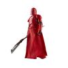 Hasbro Star Wars Black Series Imperial Praetorian Guard, Star Wars: The Mandalorian Premium Collection 15 cm Action Figure G1555, Authentic