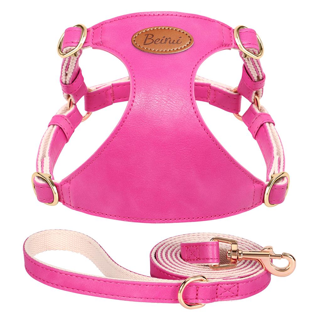 Cute Step-In PU Leather Dog Harness & Leash Set Adjustable Pet Puppy Walking Vest Lead for Small Medium Dogs