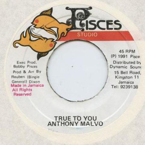 

7inch Record ANTHONY MALVO - True To You Pisces 1991 Jamaica Reggae, Ska & Dub